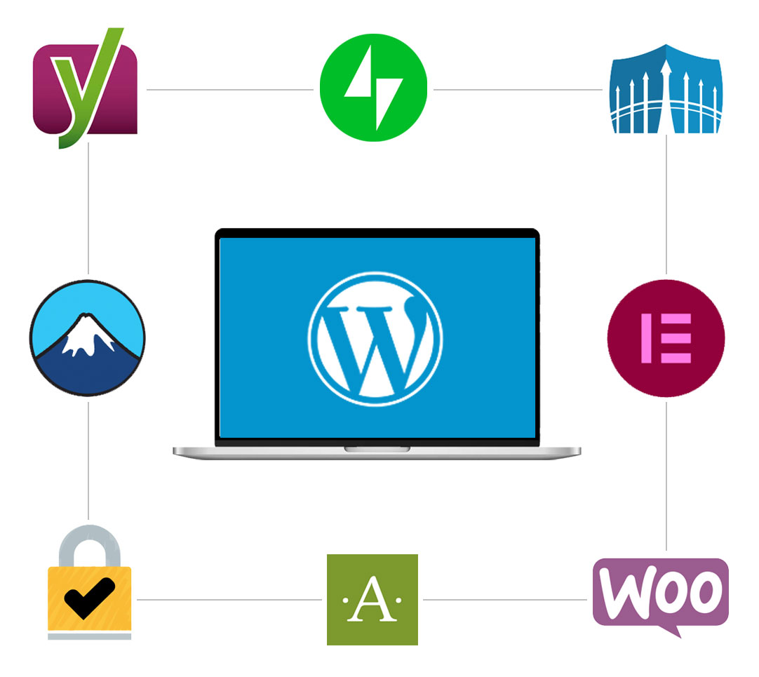 WordPress ecosystem